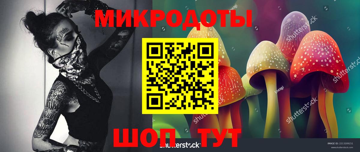 Пушкино  Псилоцибиновые грибы GOLDEN TEACHER  Вход с VPN  Псилоцибиновые грибы MAGIC MUSHROOMS 